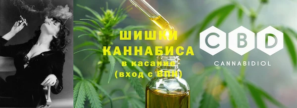 ECSTASY Абаза