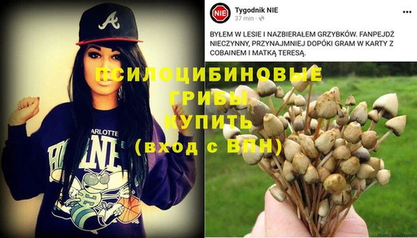 mix Алексеевка
