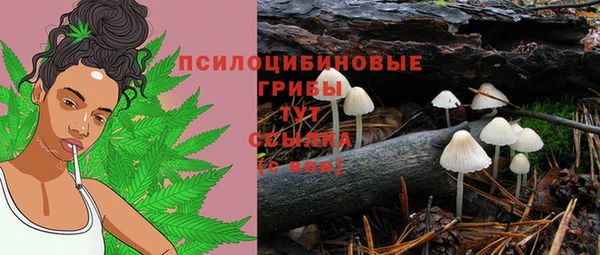 дурь Абинск
