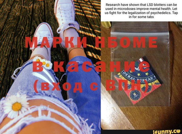 ПСИЛОЦИБИНОВЫЕ ГРИБЫ Алексин
