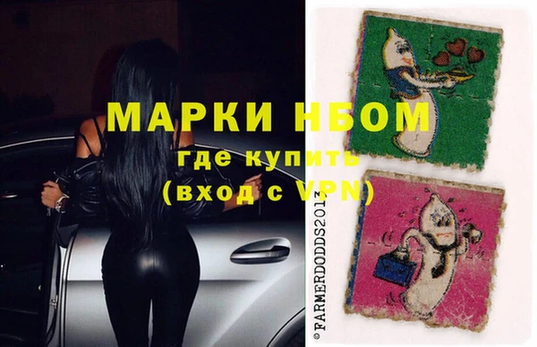 индика Алзамай