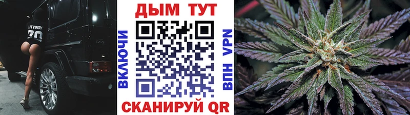 Шишки марихуана сатива Новомичуринск